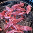 송도갈매기 이미지