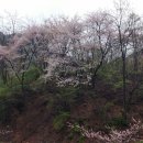 둥굴식당 이미지