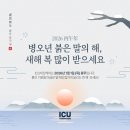 비전케어