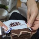 목욕하는고양이 이미지