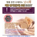 닛시레