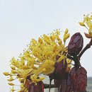 (주)앤앤지 이미지