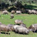 김동선 농장 이미지