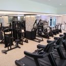 브로피트니스 이미지