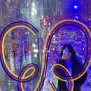 [부산/해운대] 해운대미용실 셉 헤어 해운대 본점에서 염색 찐 후기 :) 셉 헤어 해운대본점