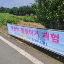 광양조은농원 봉숭아물들이기체험 중마장애인복지관에서 이미지