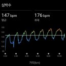 모두마니로 이미지