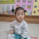 🦊사막여우 먹이주기🦊 이미지