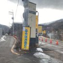 애견랜드 이미지