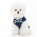 써니도그 이미지