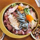 아가씨가 머리하는곳 | 속초 맛집 아가씨의 강력 추천! 실패 없는 청초수물회 속초본점 찐 내돈내산 후기