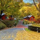 봉수산 자연휴양림 이미지