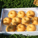 웅촌농장 이미지