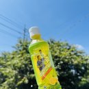 세븐일레븐 울산염포현대점 | 슛 K리그 상품 /세븐일레븐 K리그 제품 / 세븐일레븐 재고 조회 방법 / 슛 K리그 상품 구매 방법