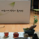 조은세상
