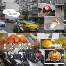 오리움영어교습소 | 🇹🇼 62만원으로 대만에 가다! ㅣ ‘3박4일 가오슝 여행기’ 下— 대체 언제까지 먹는 거에요?