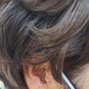 목동독일보청기 이미지