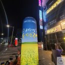 서귀포로맨스 - 북구 | 서귀포로맨스