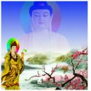 부처님 오신날을ㅡ 맞이하여ㅡ 자비와 광명이ㅡ충만 하시길 기원 합니다ㅡ이편지는 부처님 께서 ㅡ 당신한테 보내는 겁니다 이미지