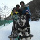 700빌리지 이미지