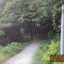 태원 유람선선착장 입구 이미지