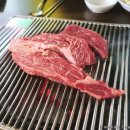 (실습)토종채소 가드닝 | [경기도 성남시 수정구] 판교어린이천문대