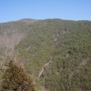 지리산 외갓집 이미지