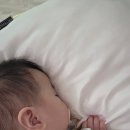 사이언스어린이집 | 정보) 전주 RSV 베이포투스 접종 병원 정리 및 후기(+광주)