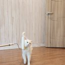 하일룽펜션 이미지