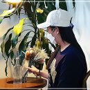 디자인모든