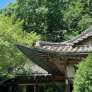 새소리물소리 이미지