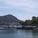 산양이운마을 이미지