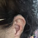 동산보청기센터 주식회사 | 사하구보청기 부모님 말소리가 잘 안들린다 하면 난청 신호일 수 있습니다