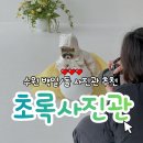 1205 | [수원/초록사진관] 돌 촬영📷 / 달항아리 컨셉🍯 / 자연채광 맛집☀️ / 아기 돌사진 촬영 리뷰🤍