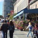 몬트리올 여행4 - 몬트리올 옛항구에서 오후를 즐기는 시민들을 보고는 길거리 캐리커쳐 화가들을 만나다!!! 이미지
