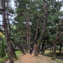 금릉소공원 이미지