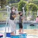 대장경오토캠핑장 이미지