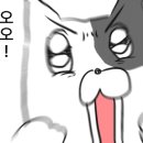 한샵
