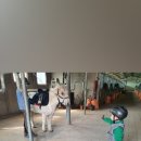 오로라승마장