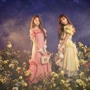 비밀정원 이미지