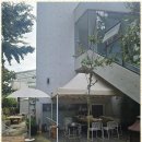 뮤즈세움 이미지