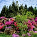 풍경(오월의 이야기 이미지