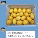 성주 이미지