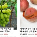 청년과일 이미지