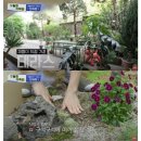 풀멍 중앙일보