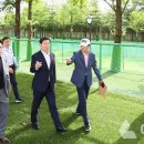 수지아르피아 이미지