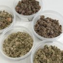 해피벌스댕댕 이미지