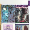 큐사랑방촌