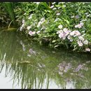 구성도서관 이미지