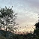 정원카페 이미지